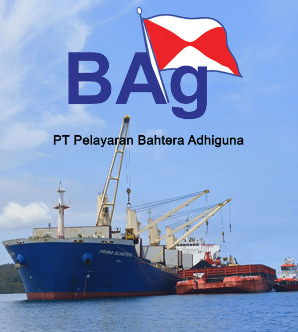 PT BAg - Risk Management & Insurance Consulting | SmartRisk