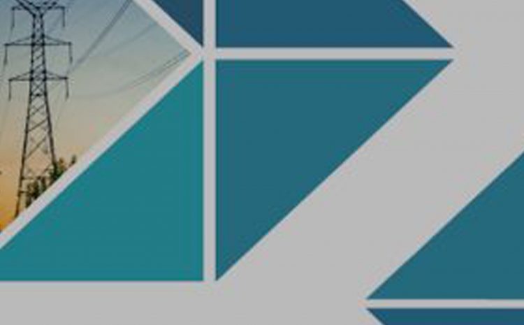 PT PLN (Persero) - Risk Management Business Case Studies Book | SmartRisk