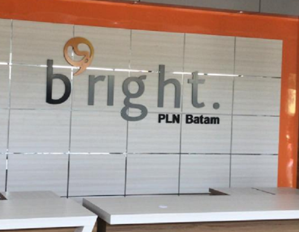 PT PLN Batam - Risk Assessment & Insurance Closure Recommendations | SmartRisk