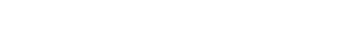 SmartRisk footer logo